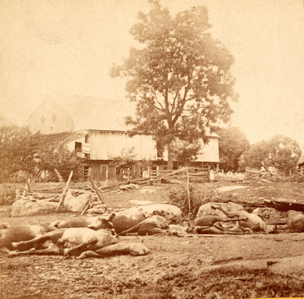 Detail of View at Losser's (i.e. Trostle's) barn, where the 9th Massachusetts Battery was cut up by Anonymous