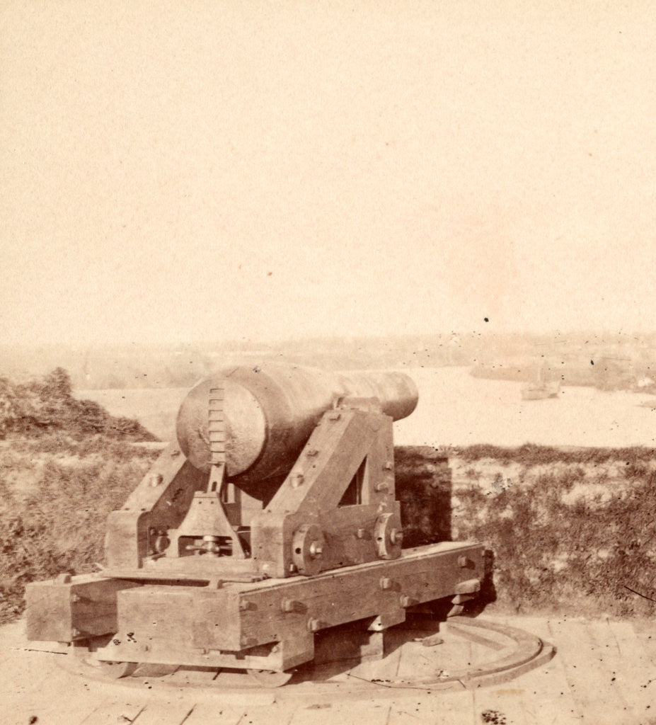 Detail of One reason why we did not go to Richmond by Anonymous