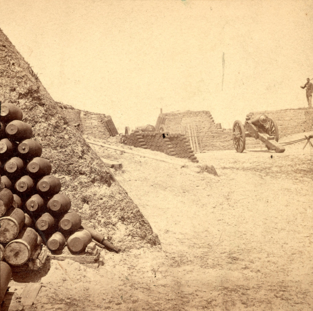 Detail of Shells in Putnam, Charleston Harbor, S.C. by Anonymous