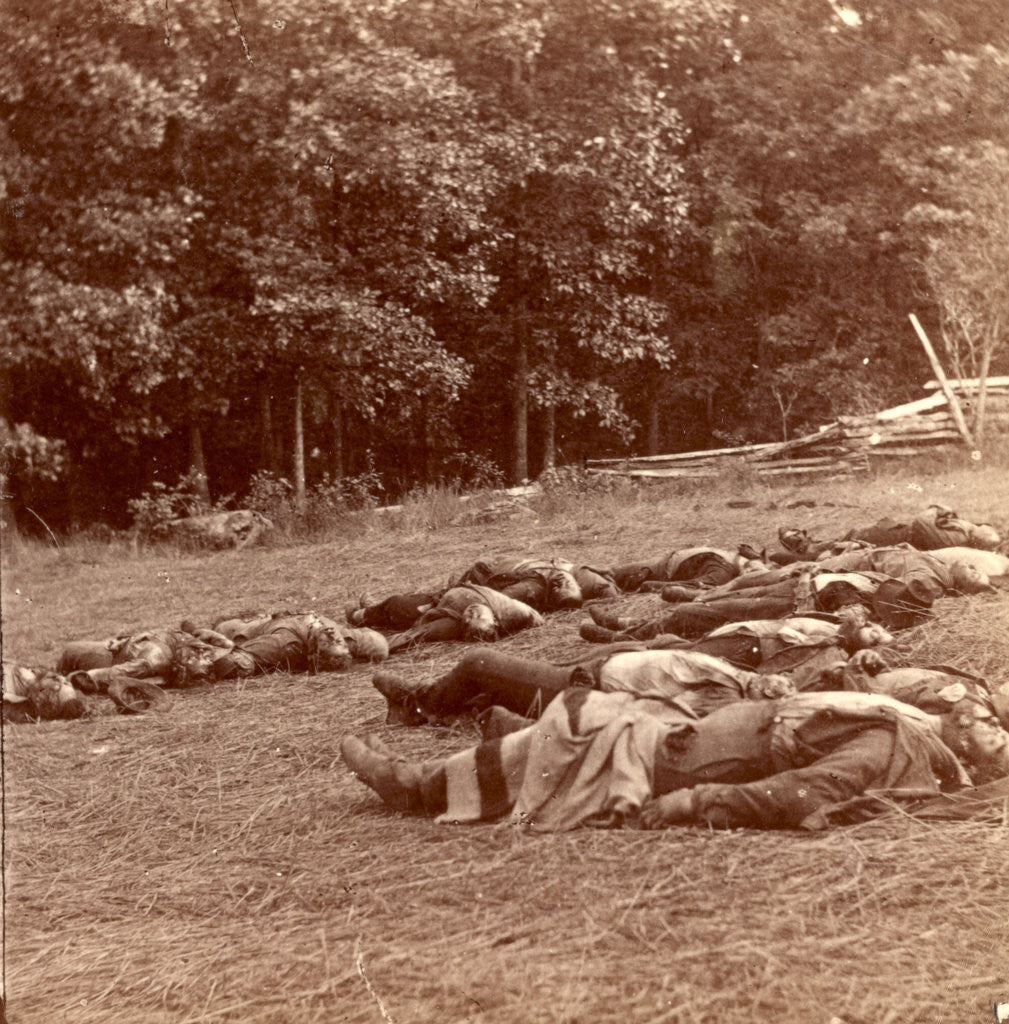 Detail of Union (i.e. Confederate) dead at Gettysburg, USA by Anonymous