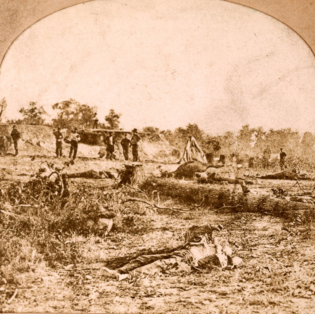 Detail of Confederate dead at Fort Robinette, Corinth, USA by Anonymous