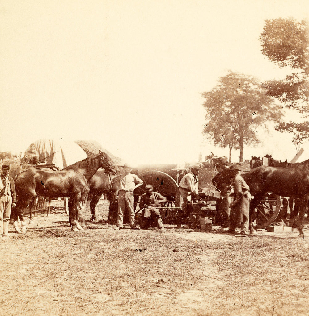 Detail of Army Blacksmith and Forge, Antietam, Sept, 1862, USA by Anonymous