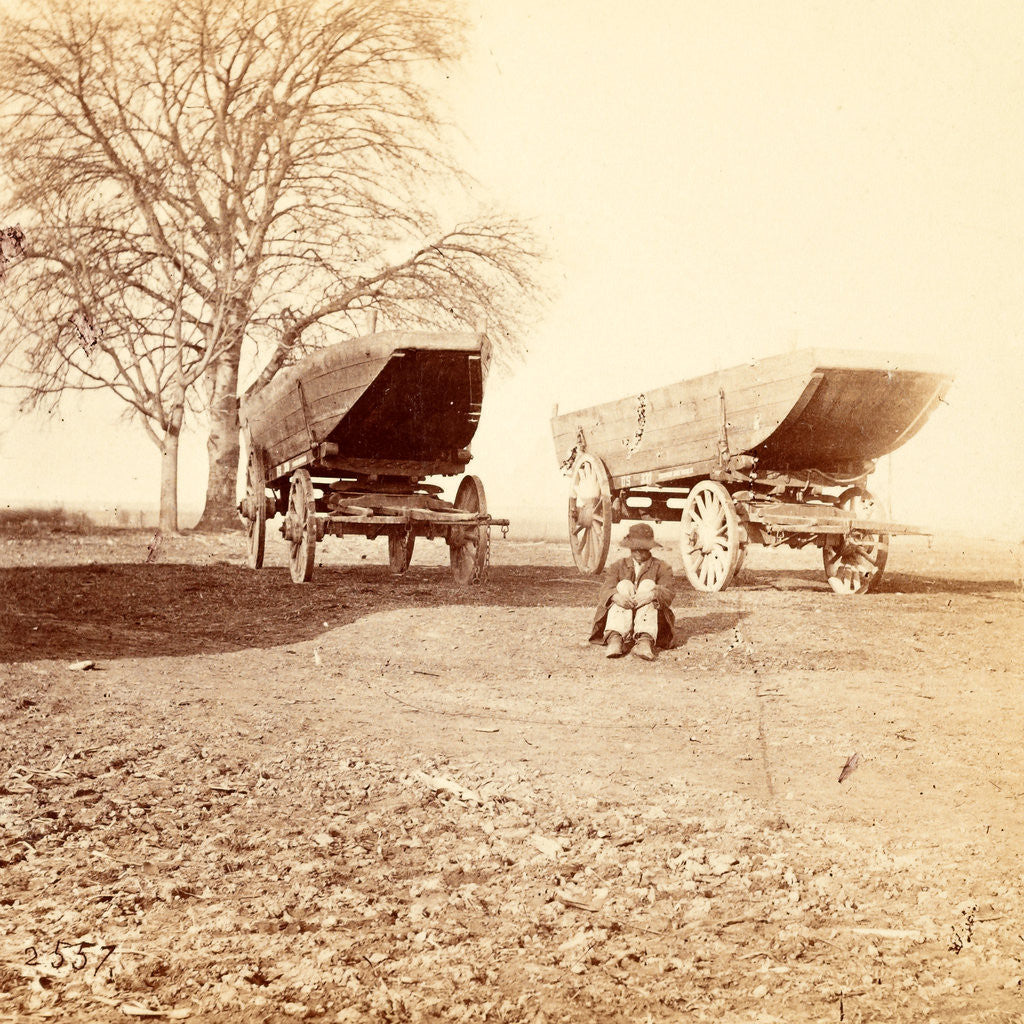 Detail of A pontoon boat on wheels, USA by Anonymous