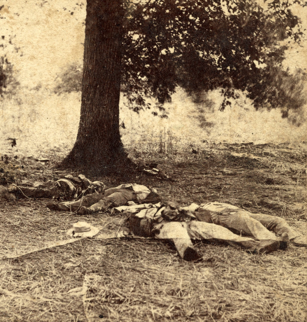 Detail of Confederate soldiers who had evidently been shelled by our batteries on Round Top, at the Battle of Gettysburg, USA by Anonymous