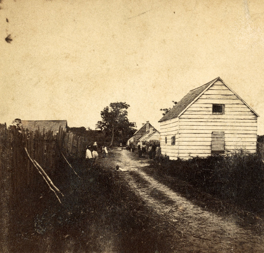 Detail of Street and Negro quarters, Retreat Plantation, Port Royal Island, S.C., USA by Anonymous