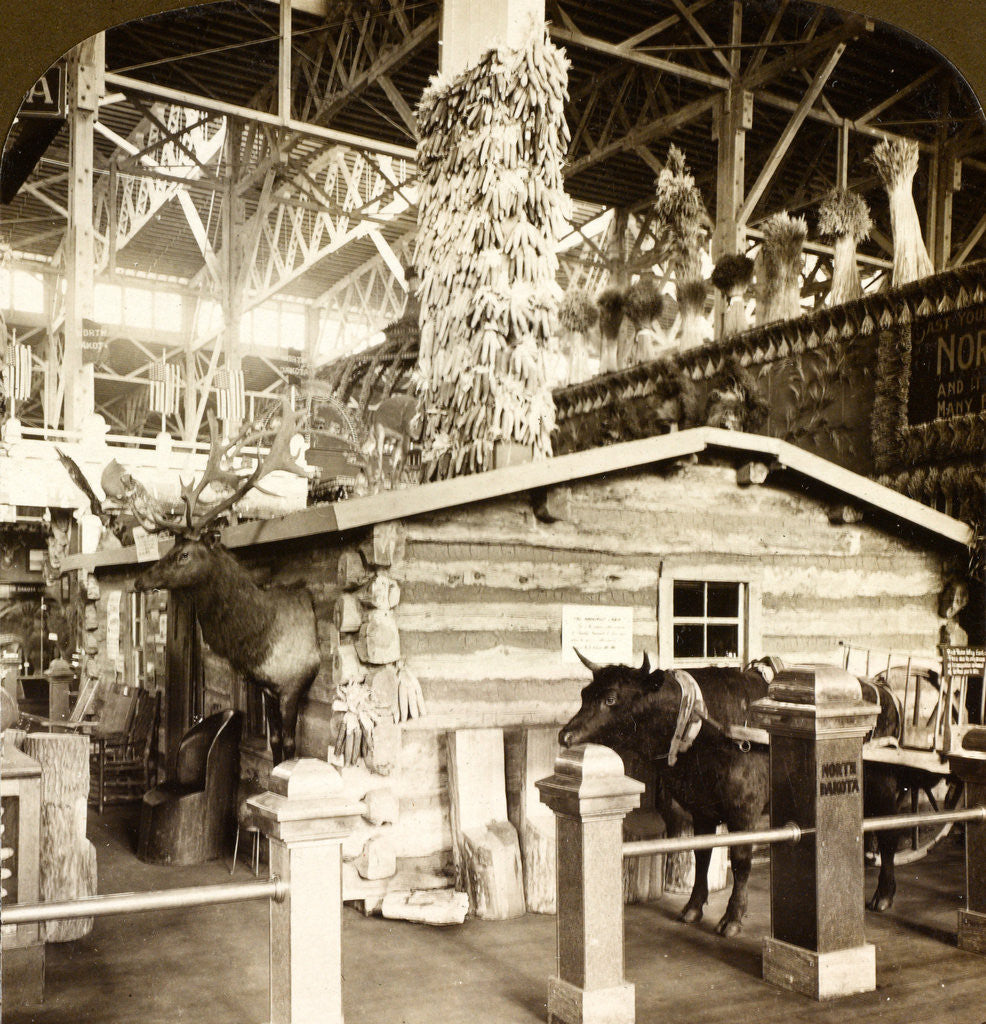 Detail of Log cabin occupied by President Roosevelt, when a ranchman in North Dakota, Agricultural Building, Louisiana Purchase Exposition, St. Louis, USA by Anonymous