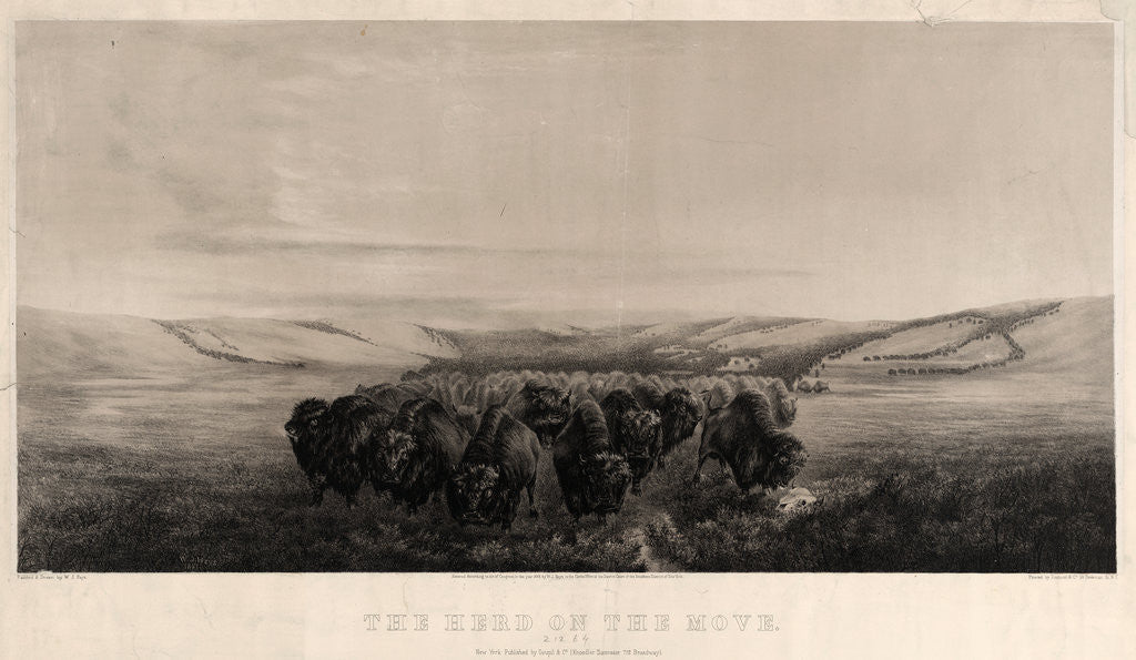 Detail of The herd on the move by W.J. Hays
