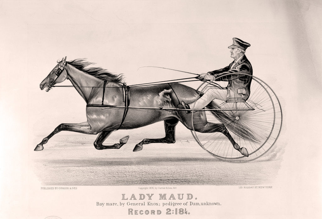 Detail of Lady Maud: bay mare, by General Knox by Anonymous