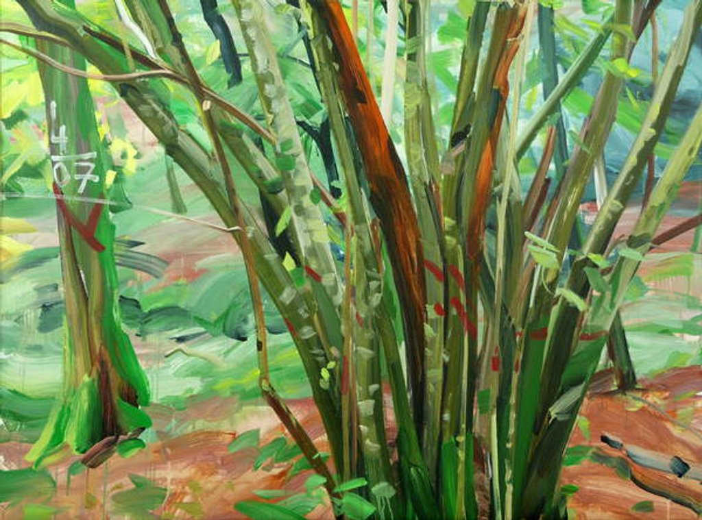 Detail of Forêt 8 le-9-janvier-2015 ,2015 by Olivier Morel