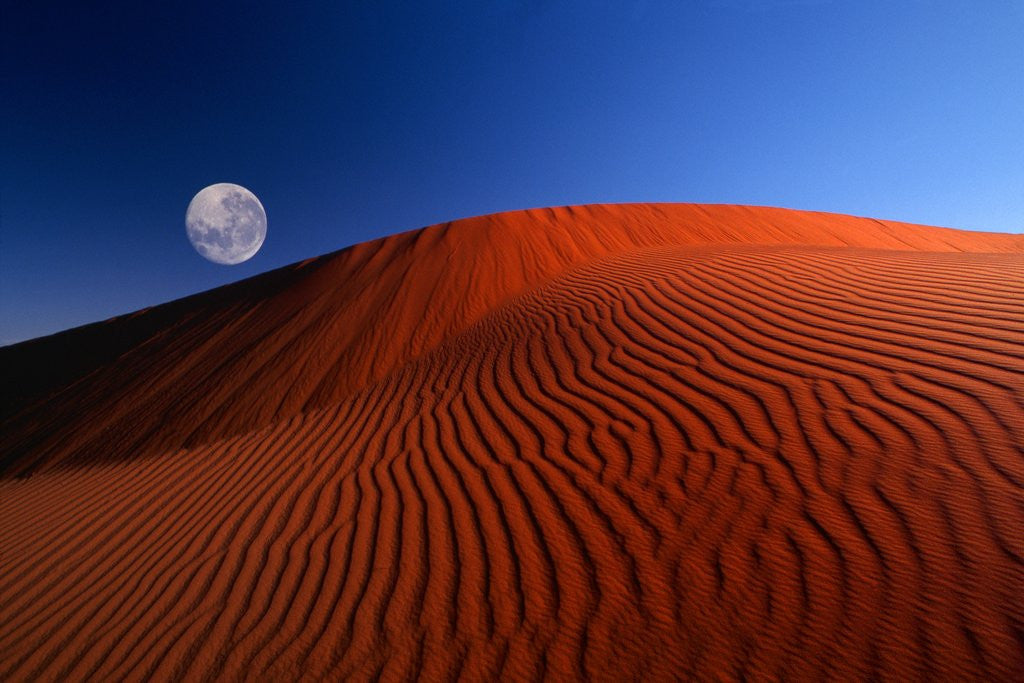 Detail of Full Moon over Red Dunes by Anonymous