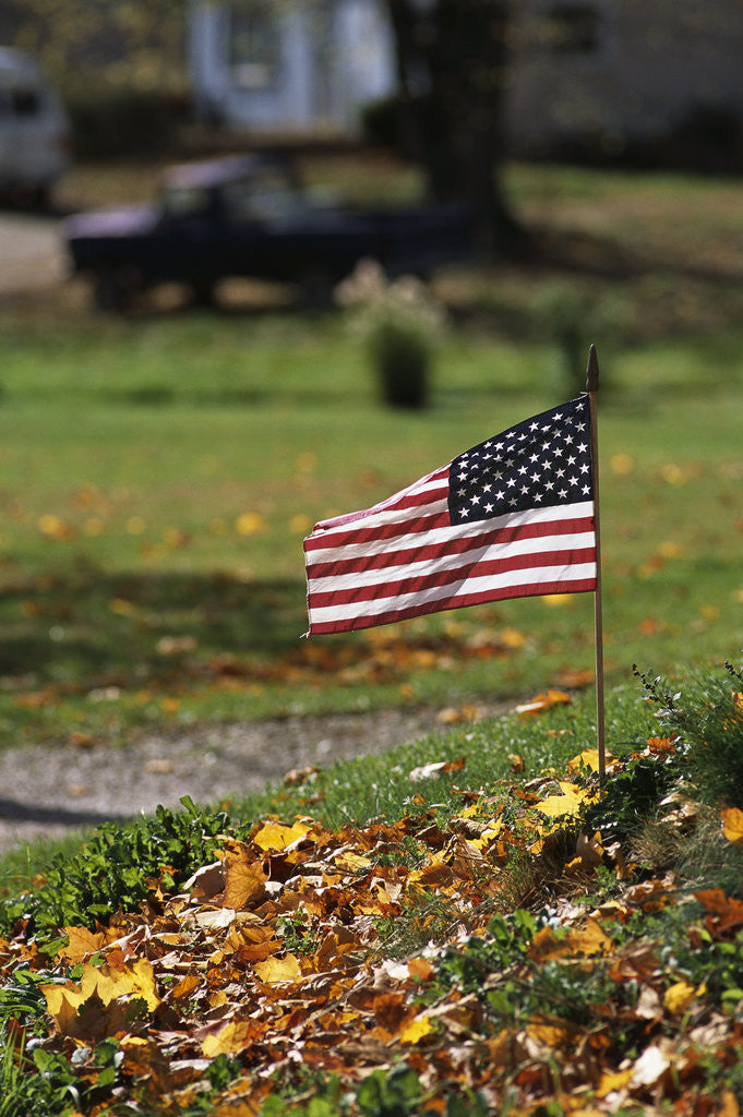 Detail of Small American Flag Posted in Yard by Anonymous
