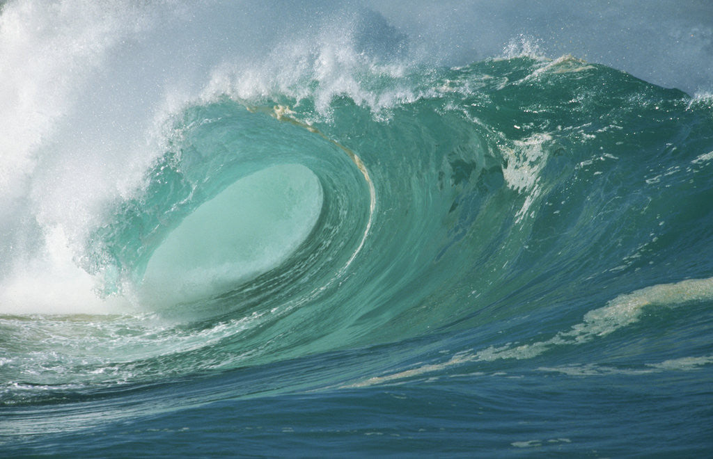 Detail of Shorebreak Waves in Waimea Bay by Anonymous