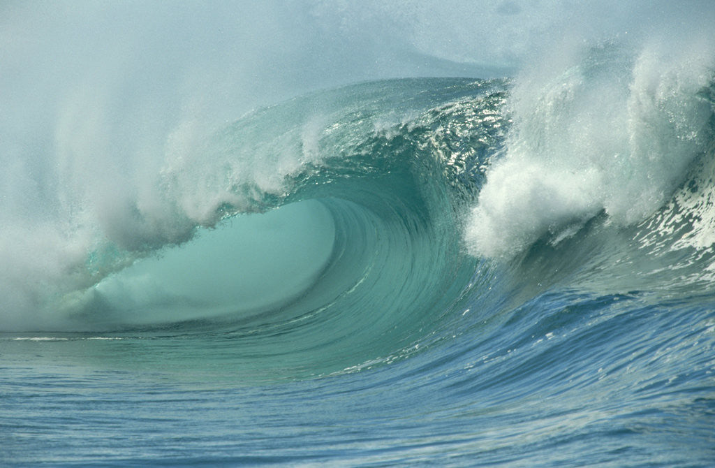 Detail of Shorebreak Waves in Waimea Bay by Anonymous