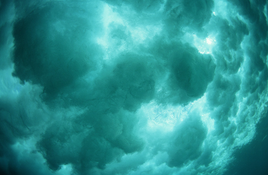 Detail of Breaking Wave Creating Turbulence in Water by Anonymous