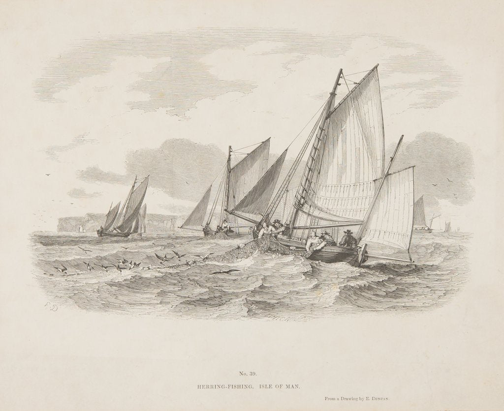 Detail of Herring fishing, Isle of Man by Unknown