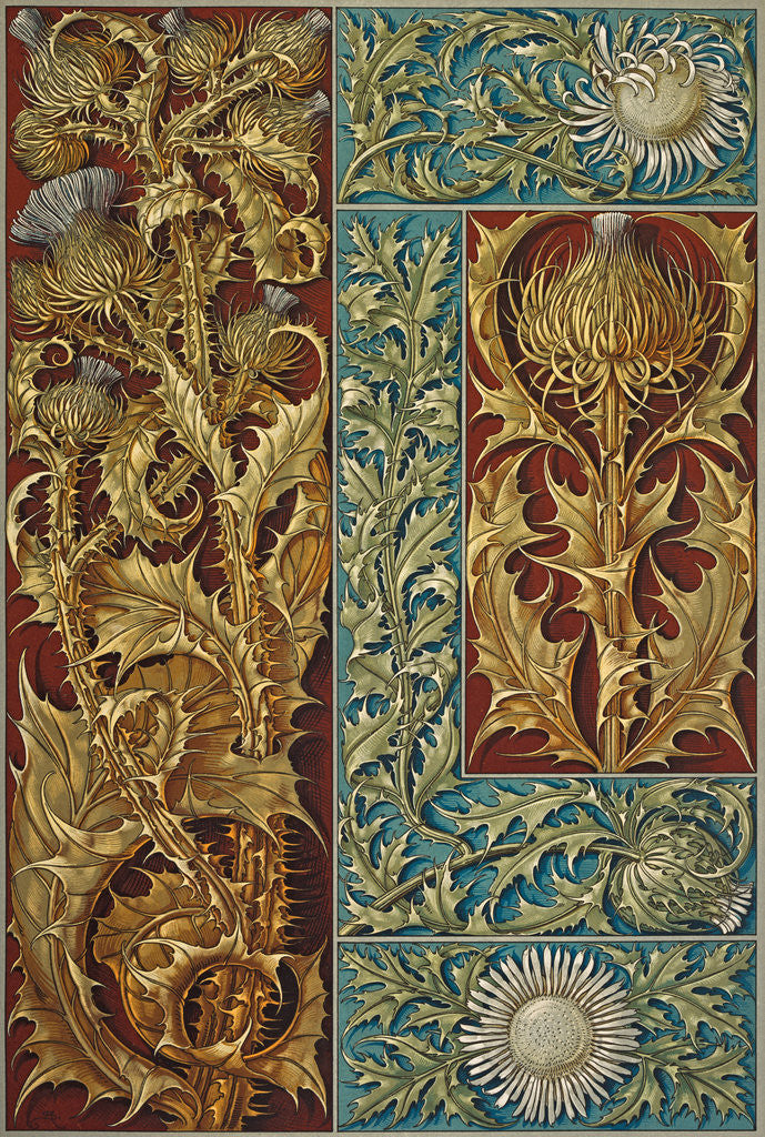 Detail of Plate 181 from 'Die Pflanze in Kunst und Gewerbe' by Anton Seder