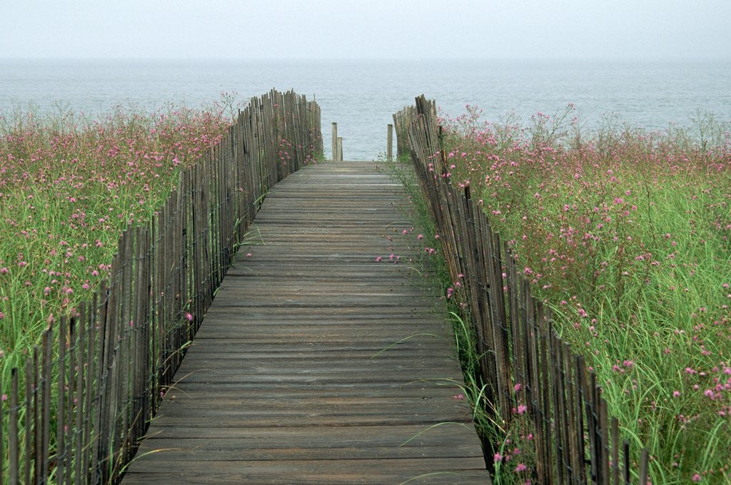 Detail of Wooden Walkway to Beach by Anonymous