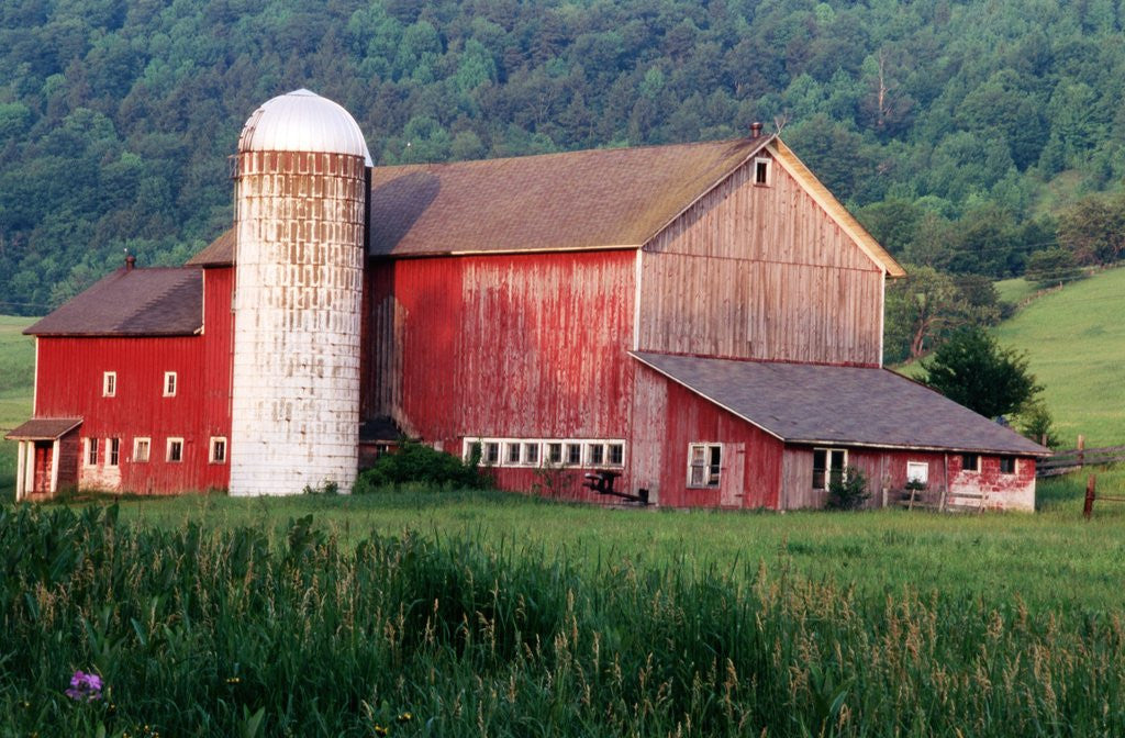 Detail of Older Barn With Silo in Lush Greenery by Corbis