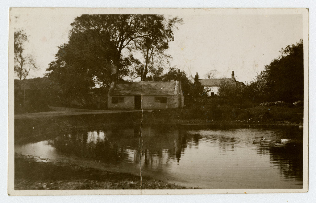 Detail of The Dollagh (Dolley), Ballaugh, east of the Dollagh Green by George Bellett Cowen