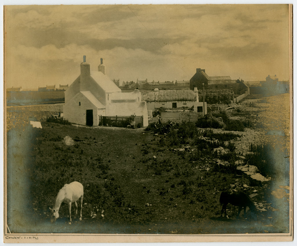 Detail of Hango Hill Farm, Malew by George Bellett Cowen