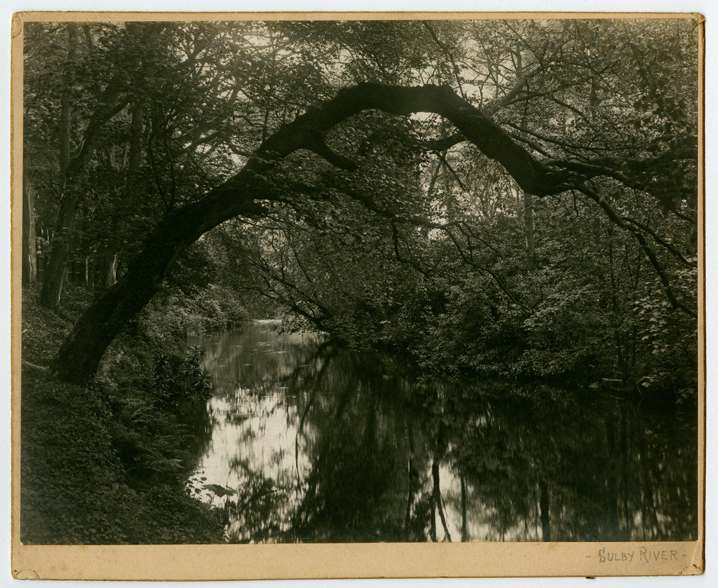Detail of Sulby river by George Bellett Cowen