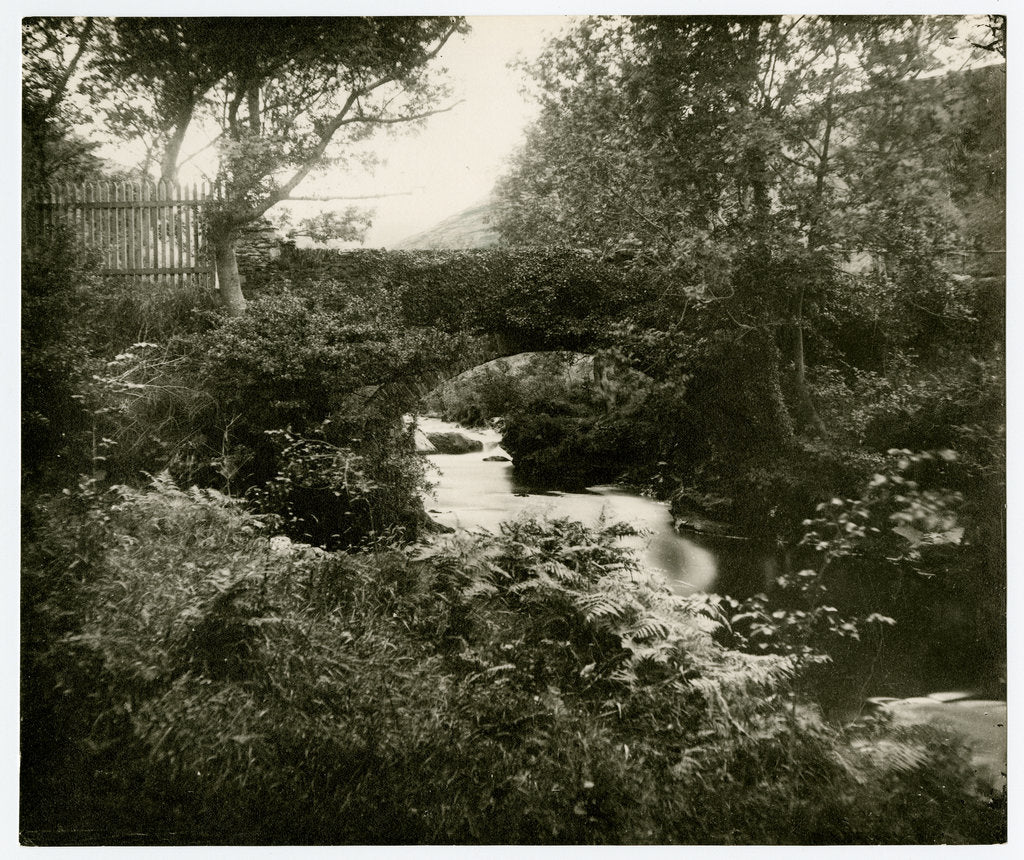 Detail of Tholt y Will bridge by George Bellett Cowen