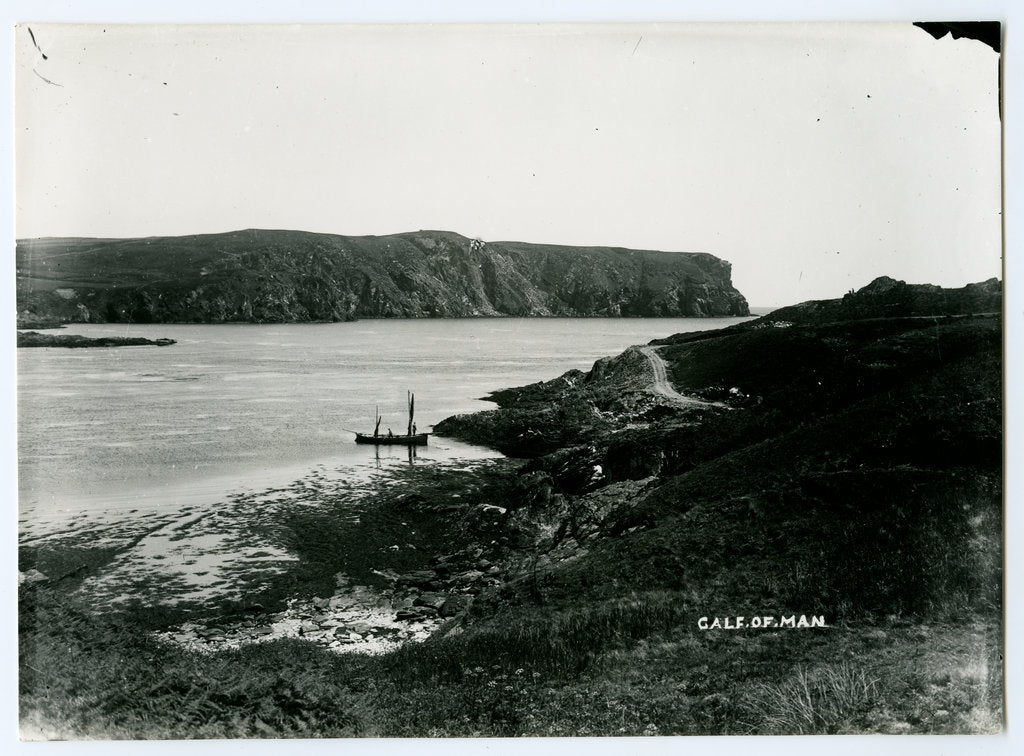 Detail of The Calf and Sound by George Bellett Cowen