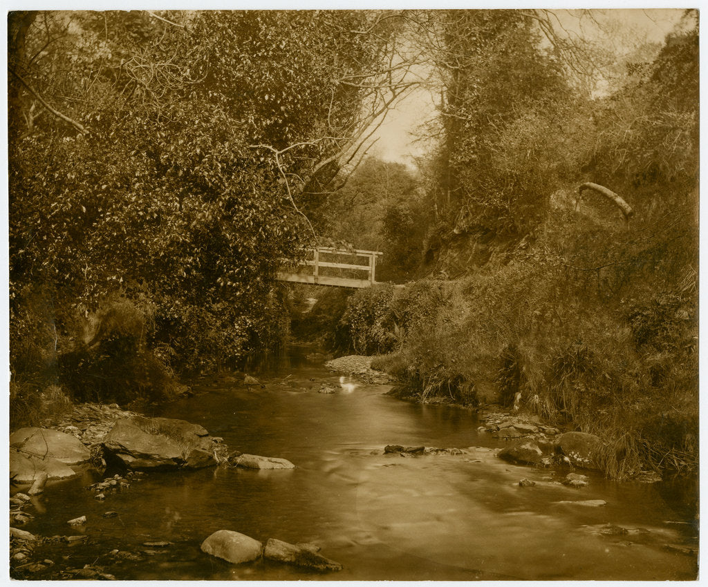 Detail of Glen Maye by George Bellett Cowen