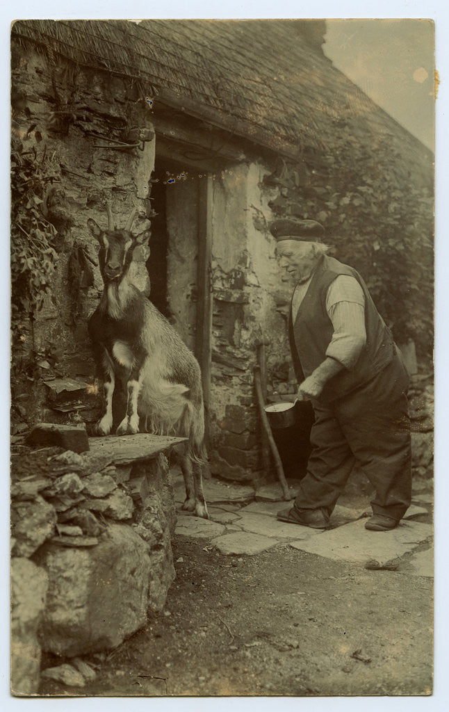 Detail of John Kinnish ('Old Pete') outside his cottage - with goat by Thomas Horsfell Midwood