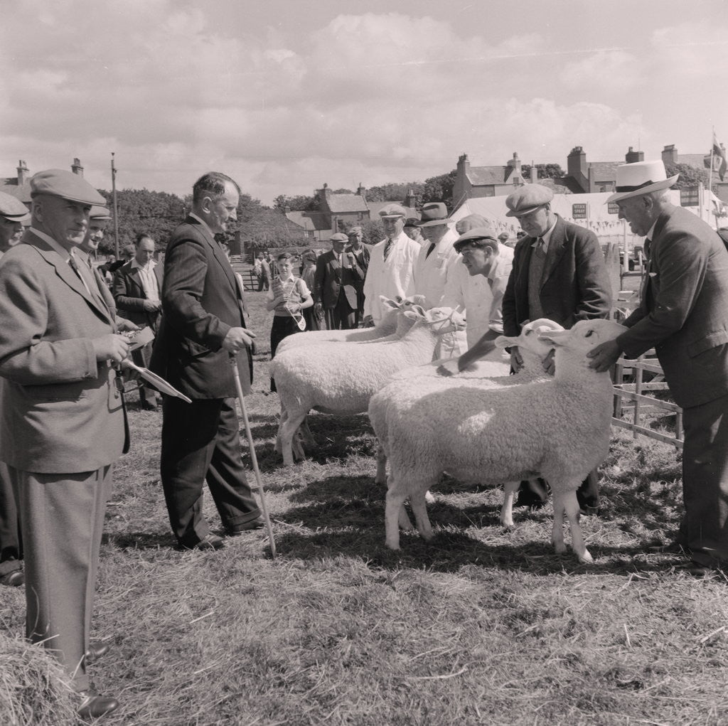 Detail of Ramsey Agricultural Show by Manx Press Pictures