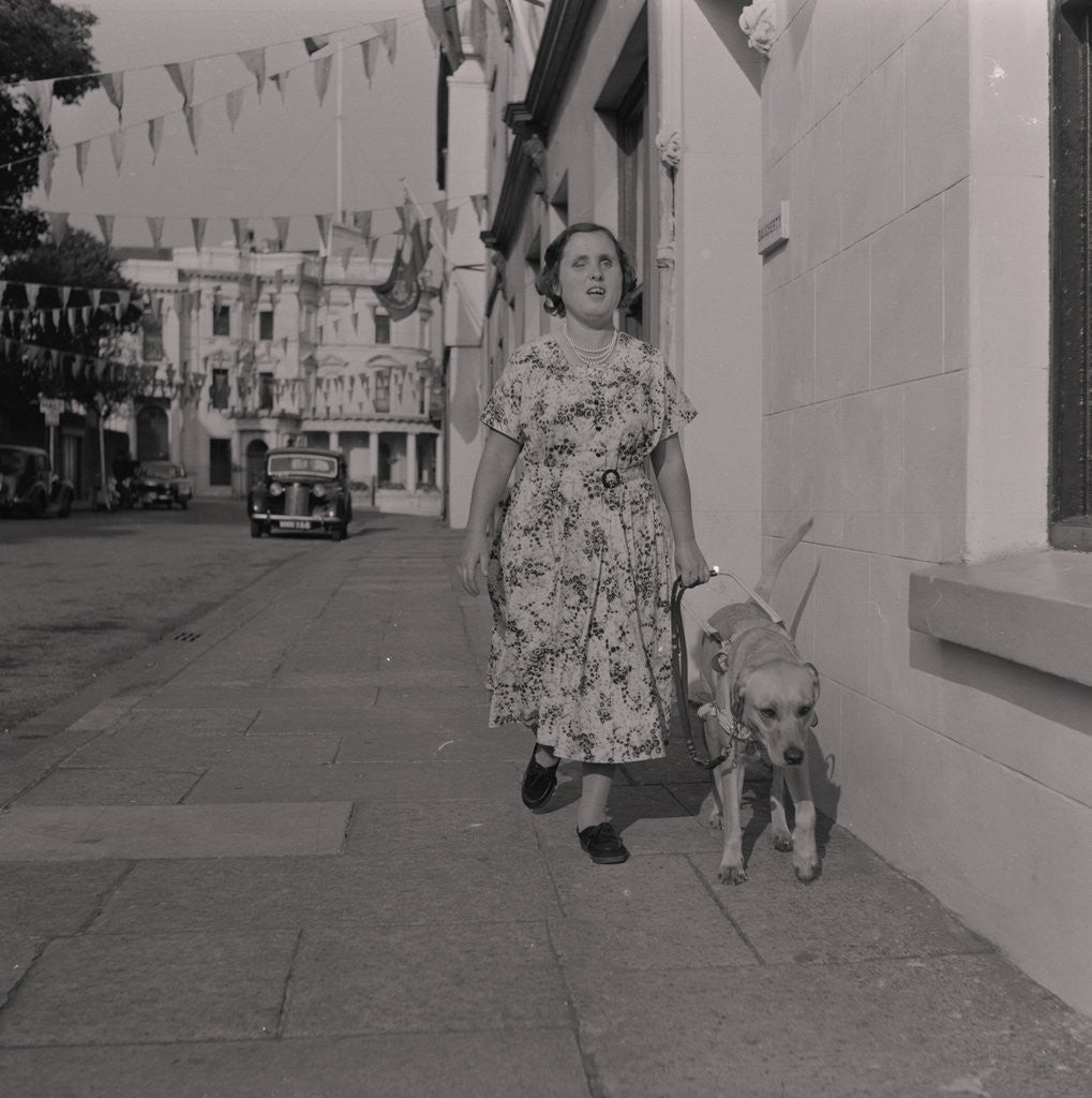 Detail of Blind woman and her guide dog by Manx Press Pictures