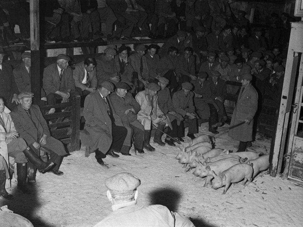 Detail of St John's Mart by Manx Press Pictures