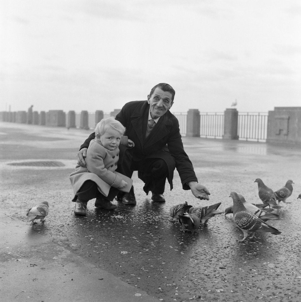 Detail of Feeding pigeons on Douglas Promenade by Manx Press Pictures