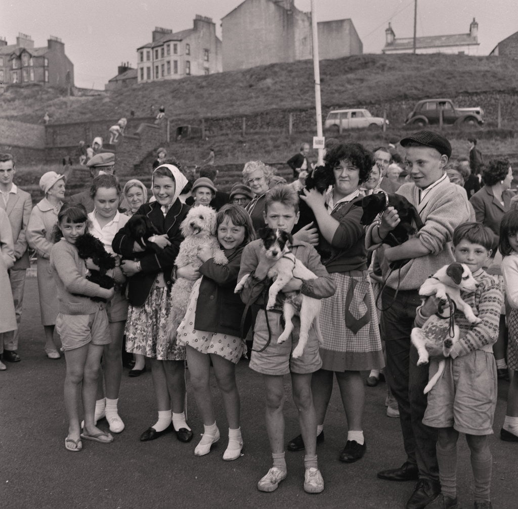 Detail of Pets parade, Peel by Manx Press Pictures