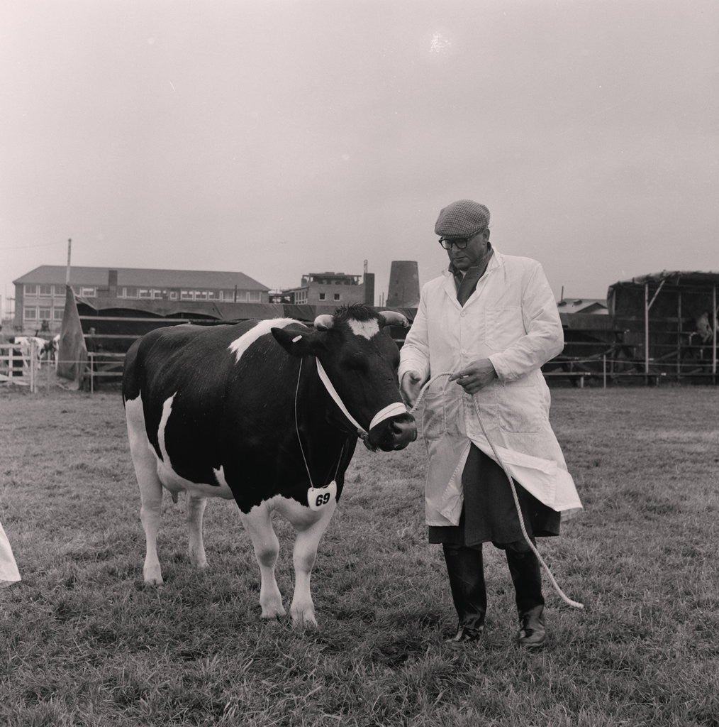 Detail of Southern Agricultural Show by Manx Press Pictures