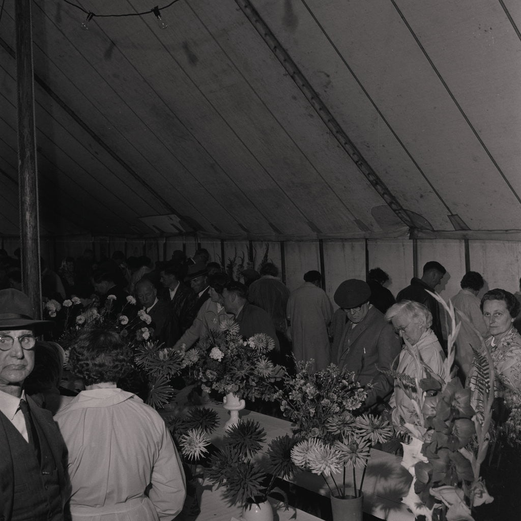 Detail of Horticultural Show, Villa Marina by Manx Press Pictures