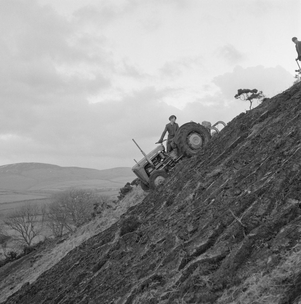 Detail of Tractor ploughing a 1 in 1 gradient hill, Isle of Man by Manx Press Pictures