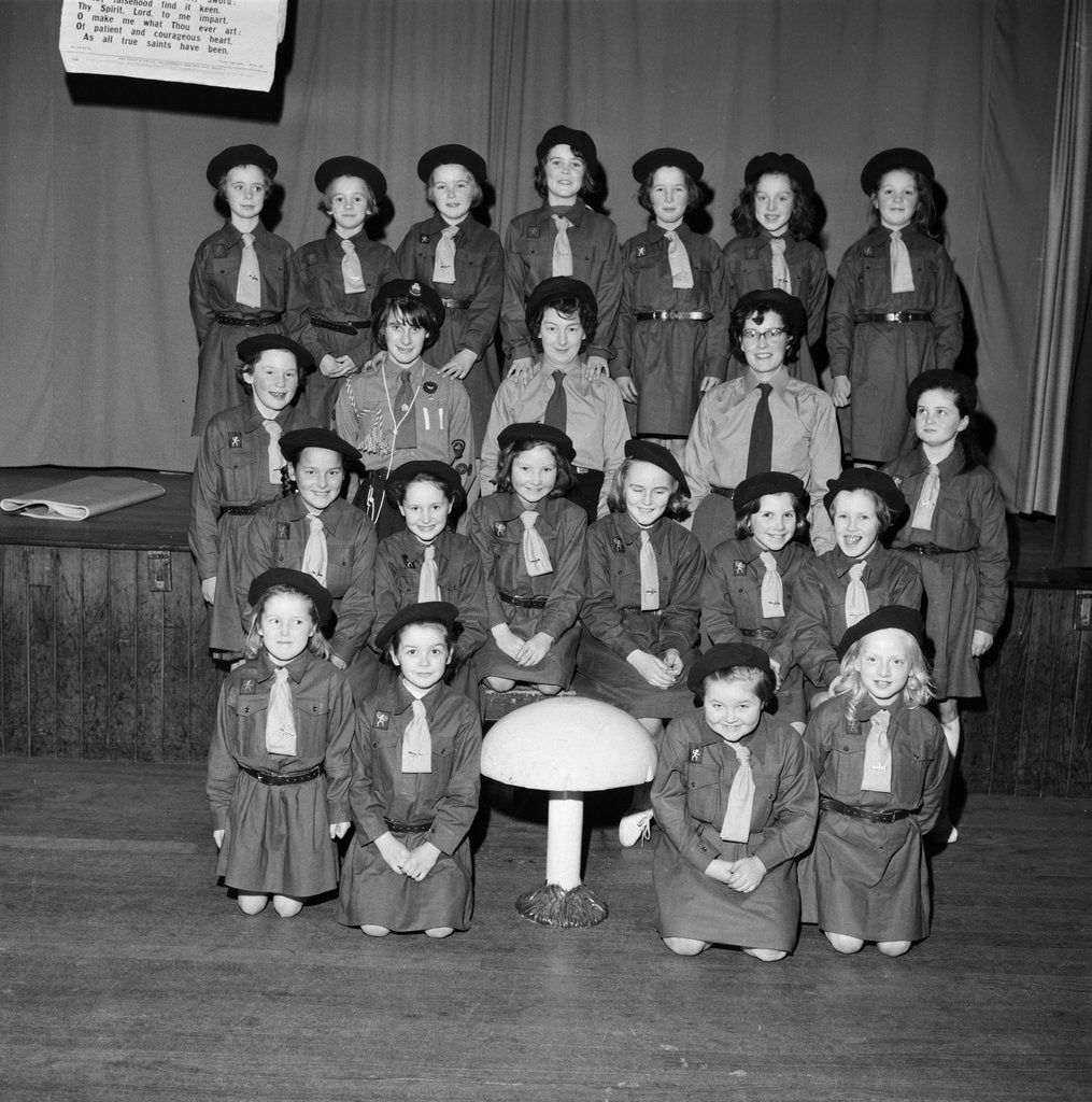 Detail of Brownies new pack, Castletown by Manx Press Pictures