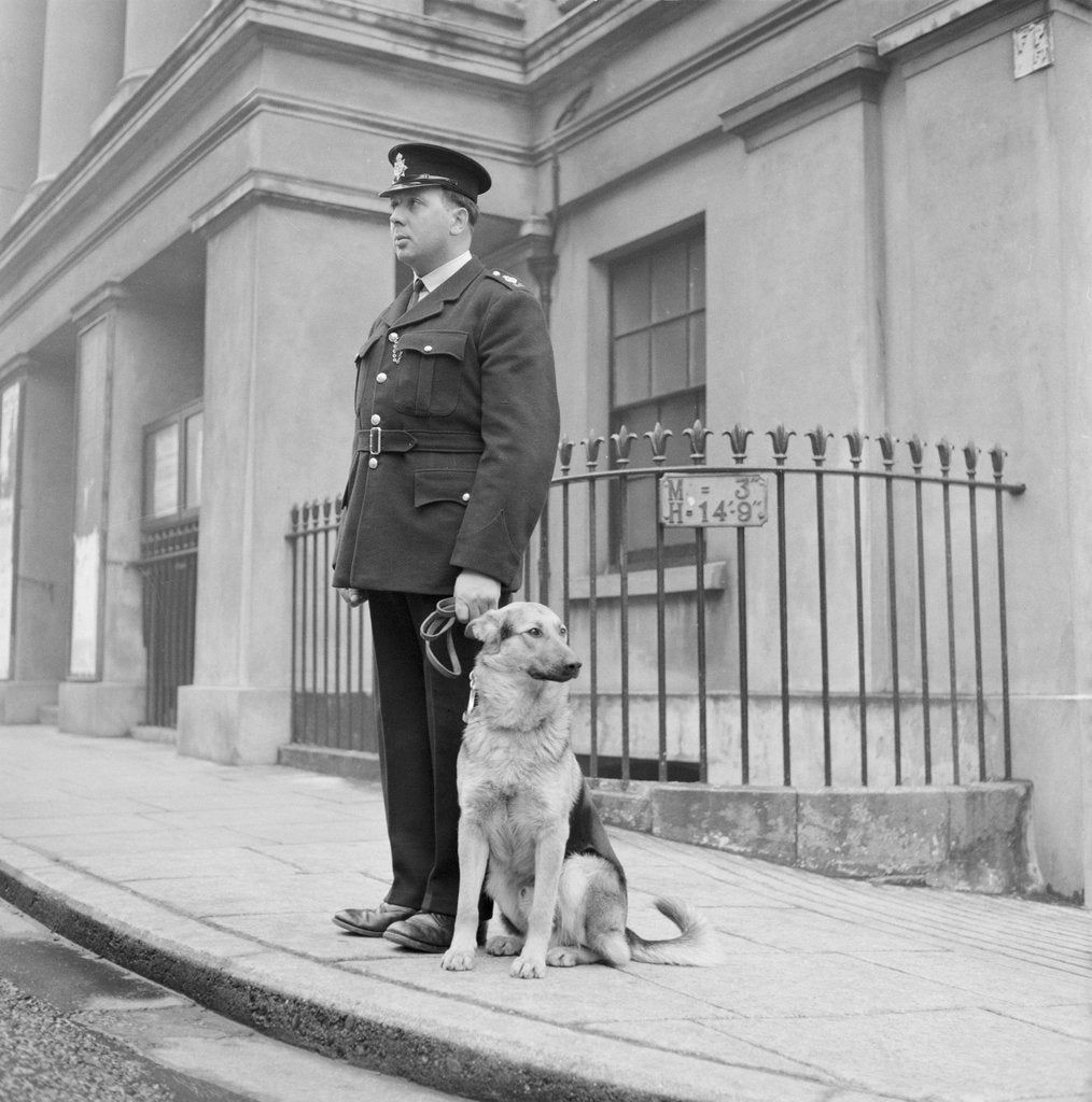 Detail of Policeman and Alsatian dog, Isle of Man by Manx Press Pictures