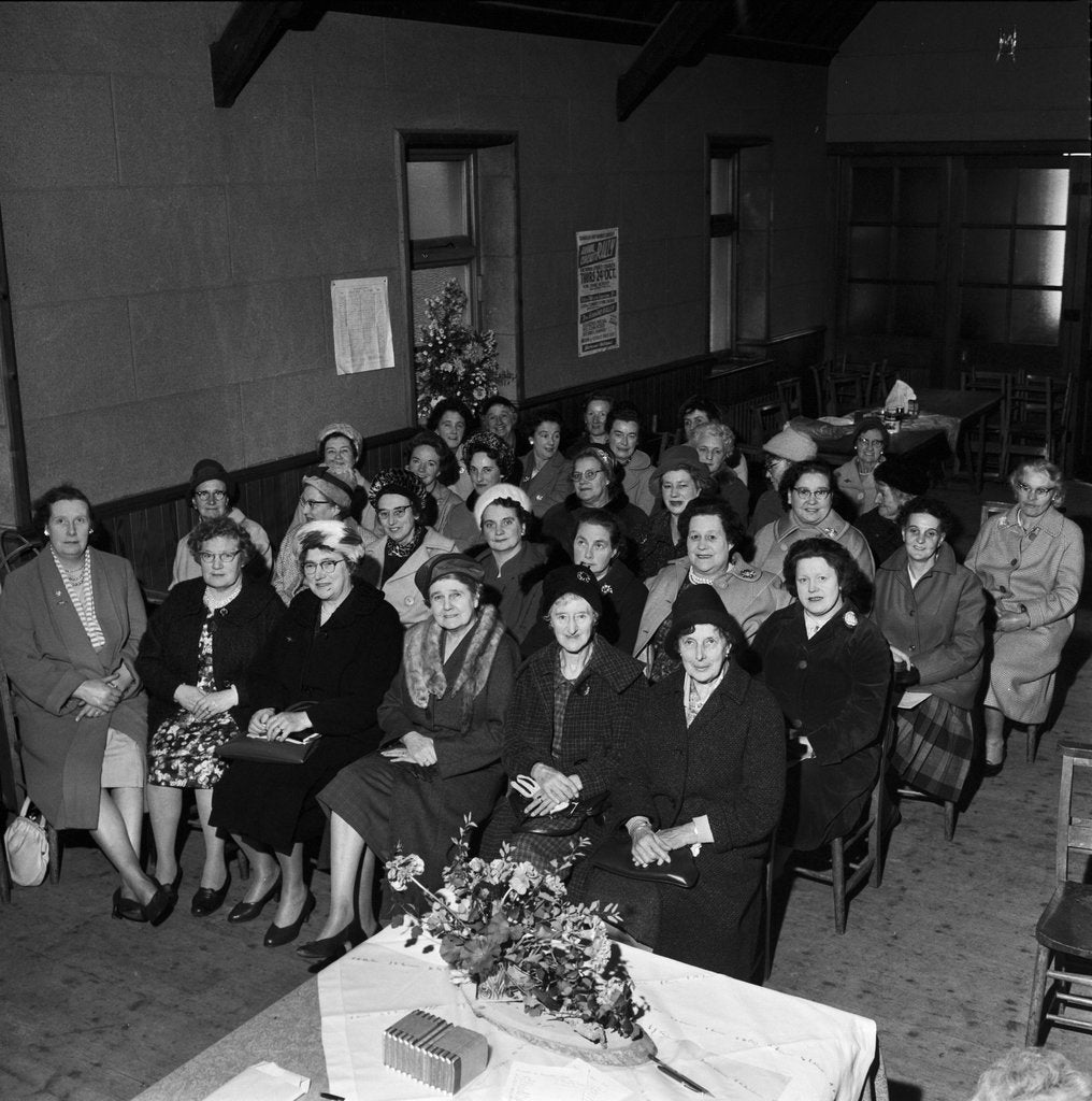Detail of Marown Women's Legion Annual General Meeting, Union Mills by Manx Press Pictures