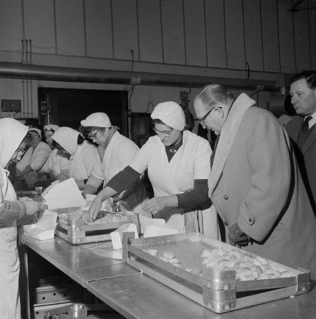 Detail of Lieutenant Governor Sir Ronald Herbert Garvey visits Peel Industries by Manx Press Pictures