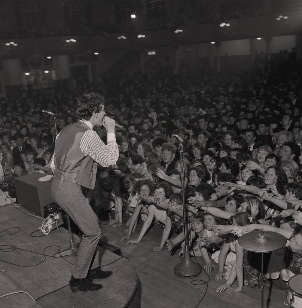 Detail of The Hollies at the Palace by Manx Press Pictures
