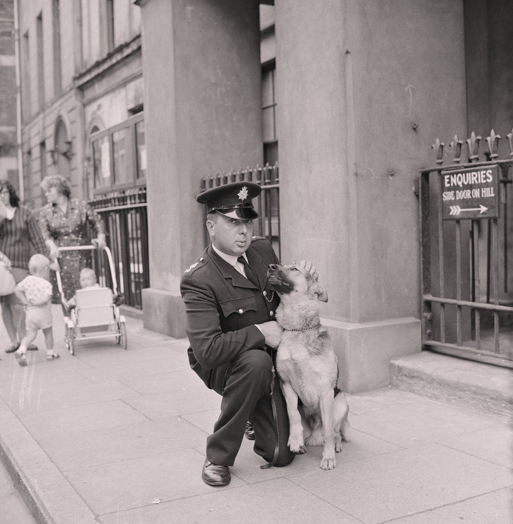 Detail of Police dog Rex with Henry Corlett by Manx Press Pictures