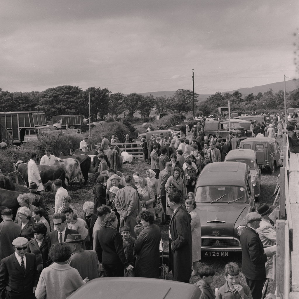 Detail of Southern Agricultural Show by Manx Press Pictures