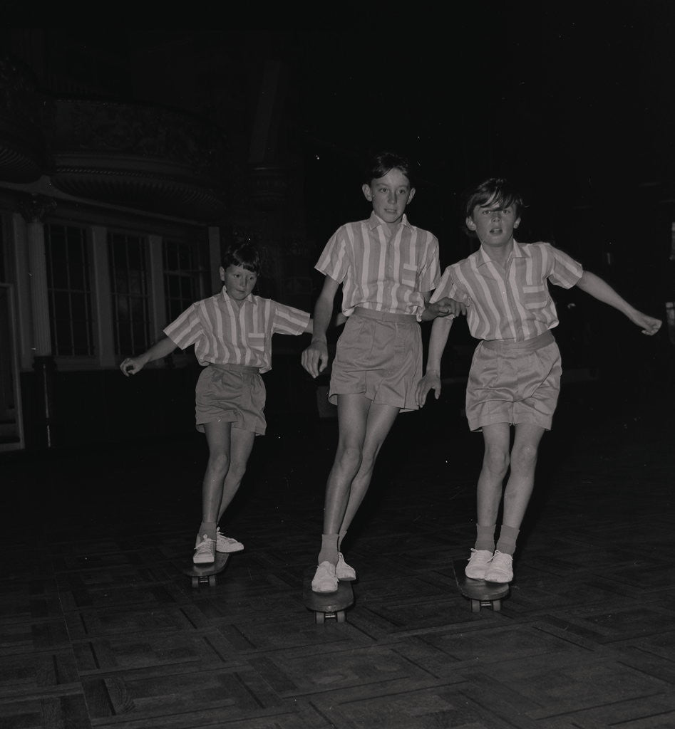 Detail of Skateboarding at the Palace by Manx Press Pictures