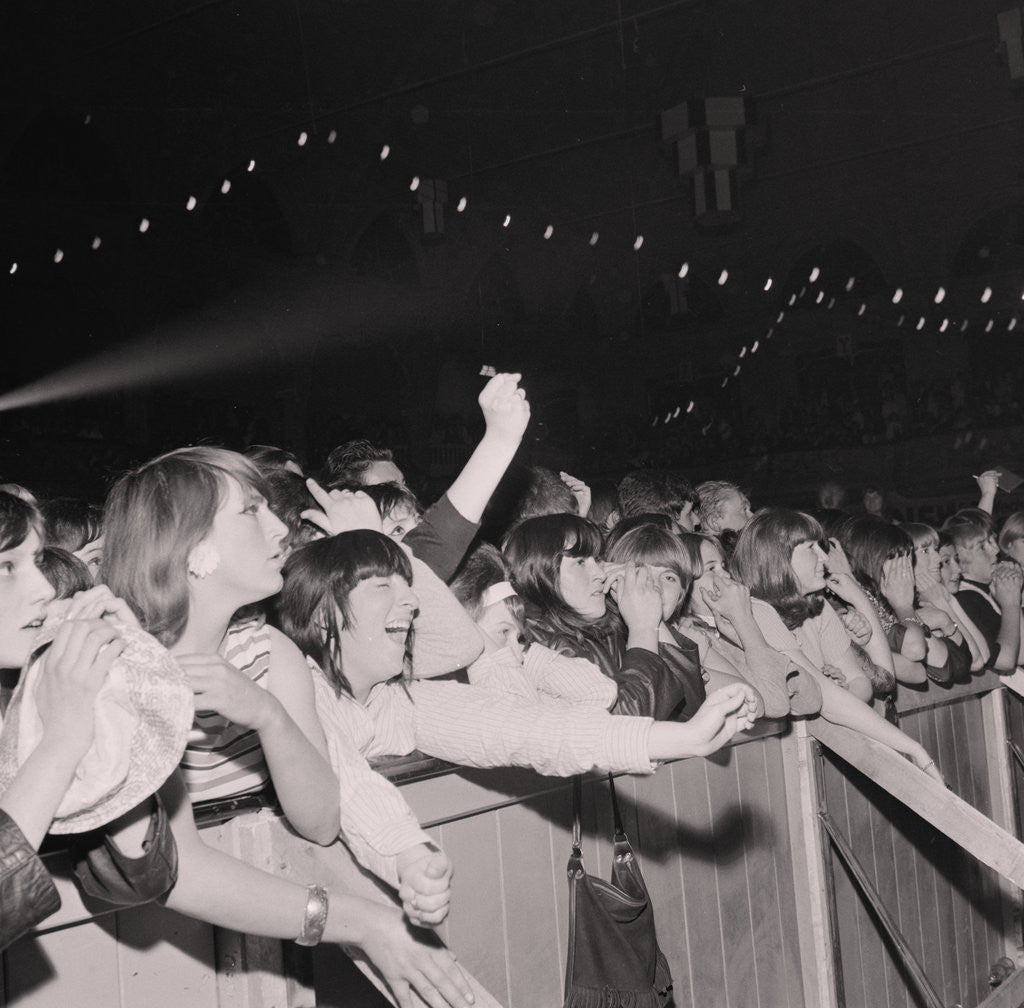Detail of Crowds for The Rolling Stones at the Palace by Manx Press Pictures