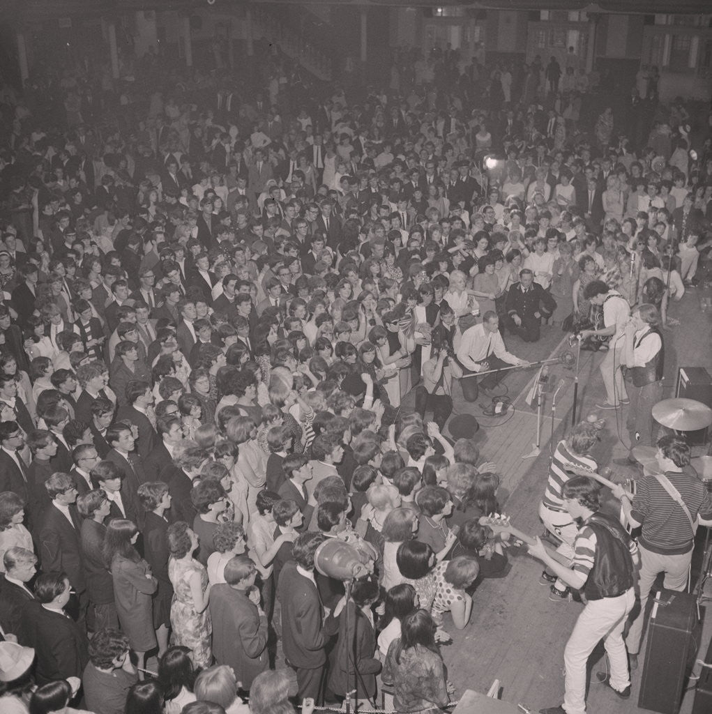 Detail of Beat Festival at the Palace by Manx Press Pictures