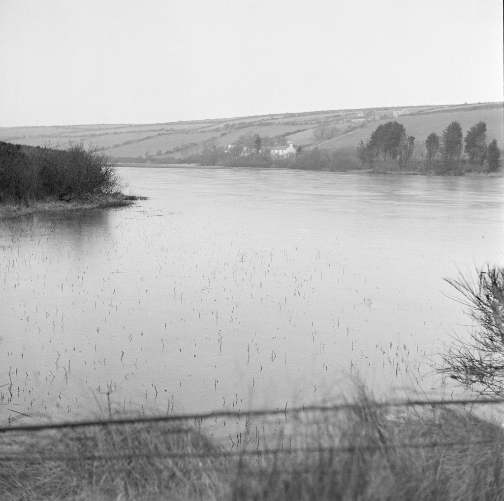 Detail of Frozen landscape, Isle of Man by Manx Press Pictures