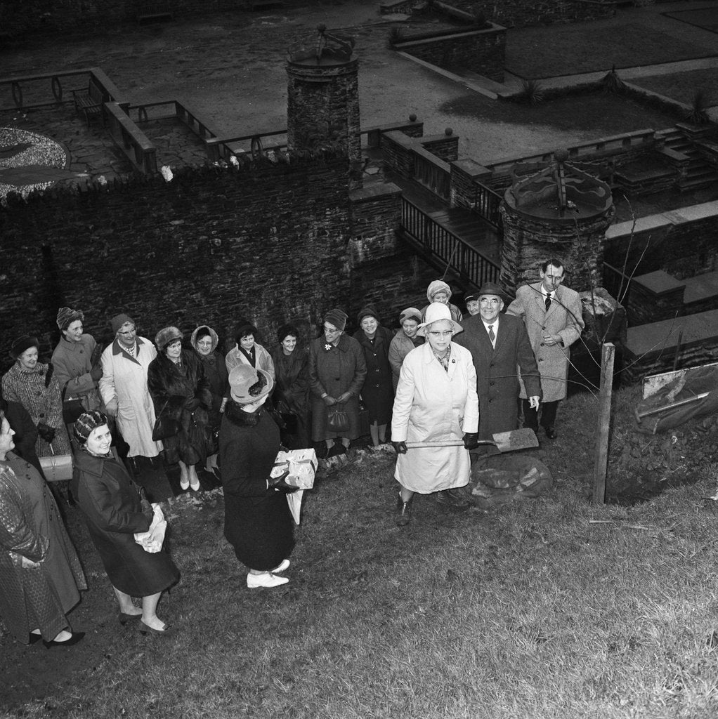Detail of Women's Institute tree planting, Laxey by Manx Press Pictures