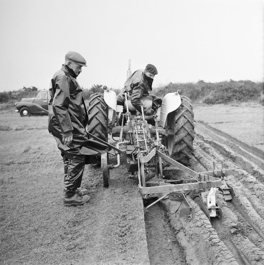 Detail of Ploughing match at Bride, Ballanhard by Manx Press Pictures